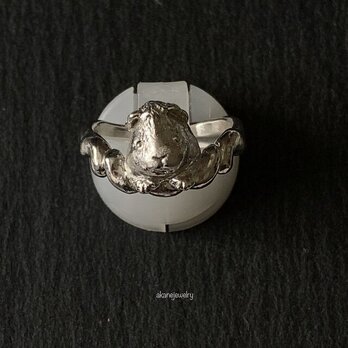 モフモフ頭のモルモットの指輪の画像