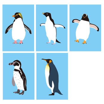 ペンギン先輩カードセットの画像