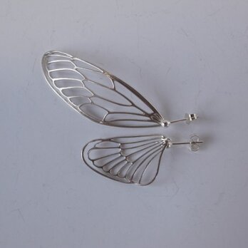 delicate air P(cicada)の画像
