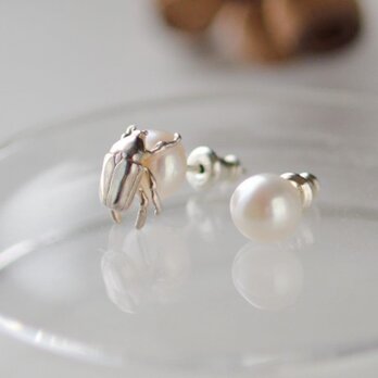 ハナムグリのピアス、アシンメトリー