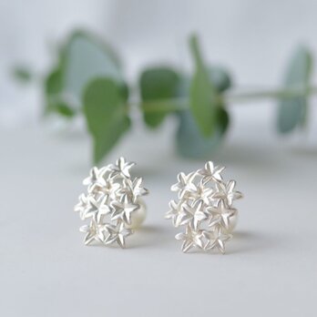 スナビキソウのピアス