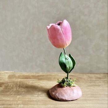 5564.bud 土から 〜 チューリップ