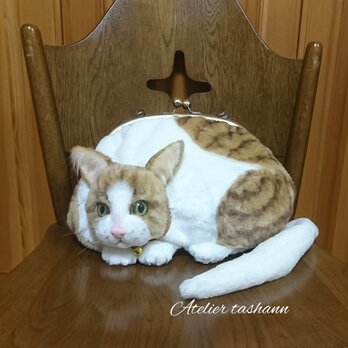 がま口になったネコ✿ずっと一緒ルダー✿茶白トラ猫の画像