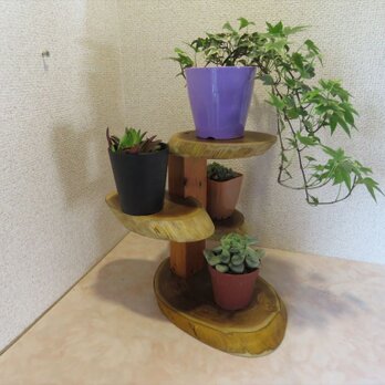 多肉植物用タワー飾り棚の画像