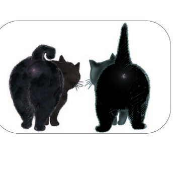 猫の缶バッチ：長方型横向き：黒ニャンコの画像