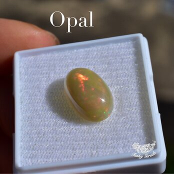 虹色の卵★プレシャスオパール　ルース　opal011の画像