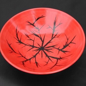 red bowl (ibara)の画像