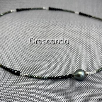Crescendo（クレッシェンド）の画像