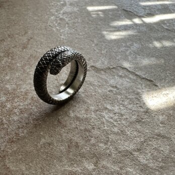 Python Ring 2の画像