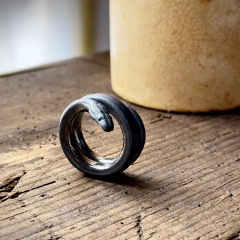 Python Ring 2の画像