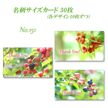 No.151 輝くフルーツのカード（ブラックベリー・ヤマモモ・ブルーベリー）#1  名刺サイズカード　30枚の画像