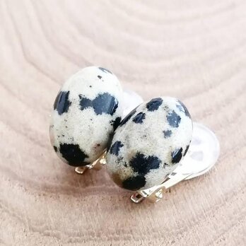 Dalmatian Jasper earringの画像