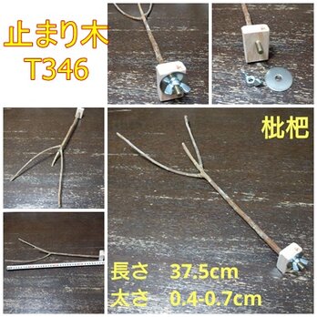 止まり木（柿枝：TOY-08-015）T346の画像