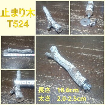 止まり木（枝：TOY-08-015）T524の画像