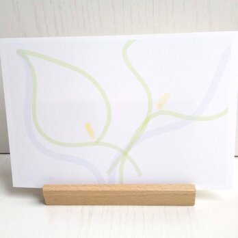 シンプル透明感「カラーリリー」　ポストカード　/３枚セット　naturakoの画像