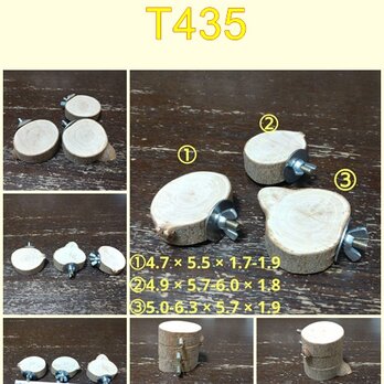 丸太切り株の止まり木（枇杷）セット（TOY-08-045)　T435の画像