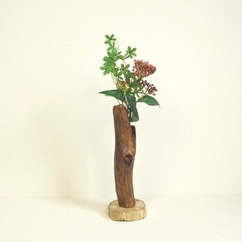 【温泉流木】伸びてきた芽のような美しい曲線の流木一輪挿し・花器 花瓶 流木インテリアの画像