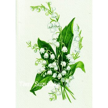 水彩画・原画「スズランの花」の画像