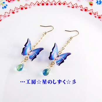 ☆煌めくモルフォ蝶とチェコ雫のイヤリングorピアス☆彡の画像