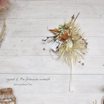 「ｓａｆａｒｉ」 wreath 　  ソテツとドライアンドラのリース　　　ドライフラワーリース　の画像
