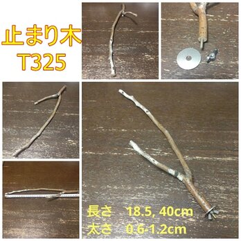 止まり木（枝：TOY-08-015）T325、T326、T347の画像
