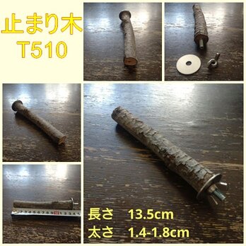 止まり木（枝：TOY-08-015）T510の画像