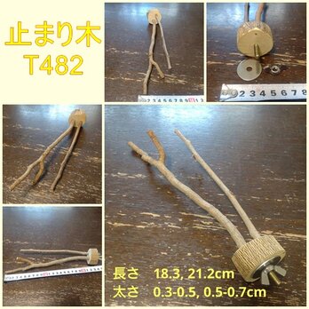止まり木（枝：TOY-08-015）T482の画像