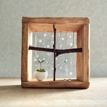 5686.bud 雨ふり窓辺