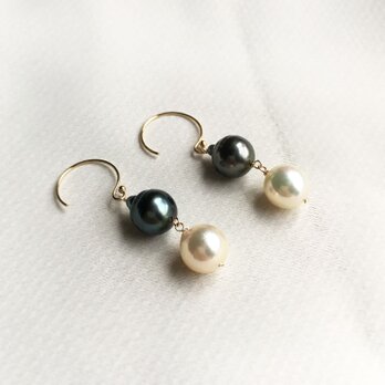 【K14GF】２連バロック黒蝶(タヒチ）真珠とアコヤパールのピアス・イヤリング