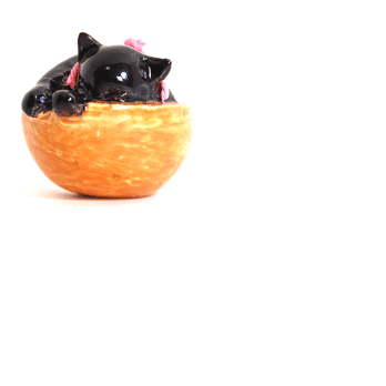黒猫ーカゴで寝るの画像