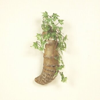 【温泉流木】立派な根っこ流木竹の壁掛け花器・一輪挿し 花瓶 流木インテリアの画像