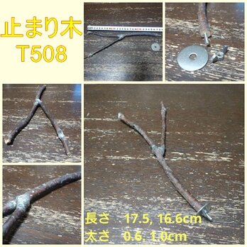 止まり木（枝：TOY-08-015）T508の画像
