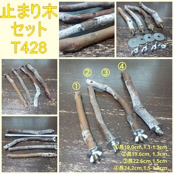 止まり木セット（枝：TOY-08-015）T428の画像