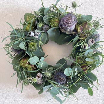 ユーカリとくろたね草のリース(トルコ桔梗）
