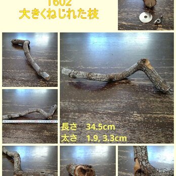 止まり木（枝：TOY-08-015) 　T602