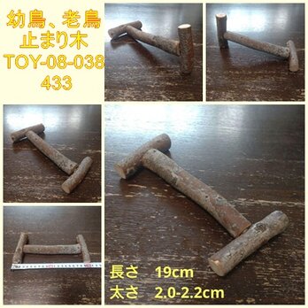 幼鳥、老鳥用の止まり木（TOY-08-038) 433の画像