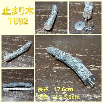 止まり木（枝：TOY-08-015）T592