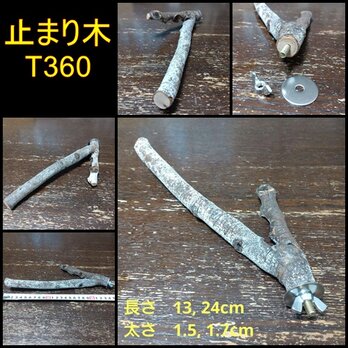 止まり木（枝：TOY-08-015）T360の画像