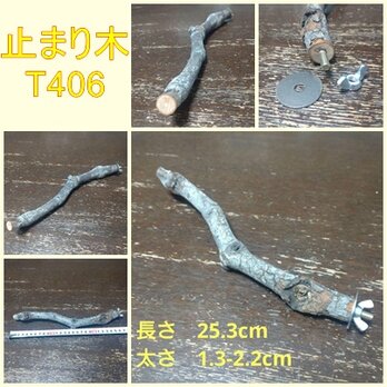 止まり木（枝：TOY-08-015）T406の画像