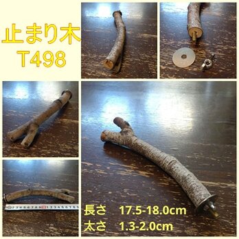 止まり木（枝：TOY-08-015）T498の画像