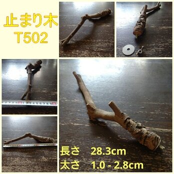 止まり木（枝：TOY-08-015）T502の画像