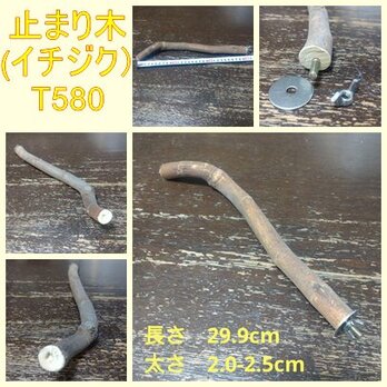 止まり木（枝：TOY-08-015）T580