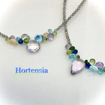 Hortensia（オルテンシア）の画像