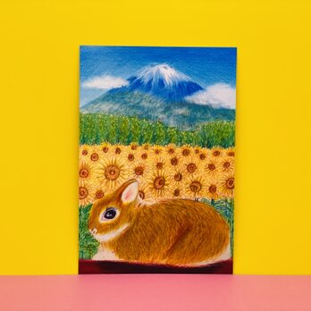 [日本一の夏の富士山とひまわり畑とうさぎちゃん]同柄ポストカード3枚セット　富士山　ひまわり　夏の画像