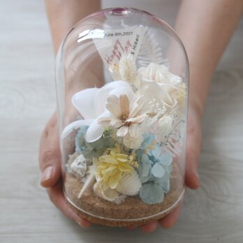 ガラスドーム　プルメリア&スターフィッシュ