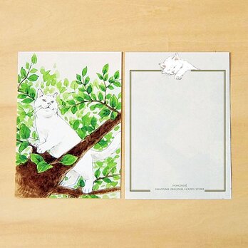 メモ紙　木登り猫の画像