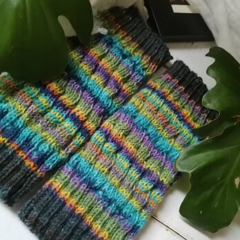 熱帯魚〜オパール毛糸の短いスパイラル編みレッグウォーマーの画像