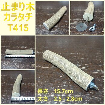 止まり木（カラタチ：TOY-08-015）T415の画像