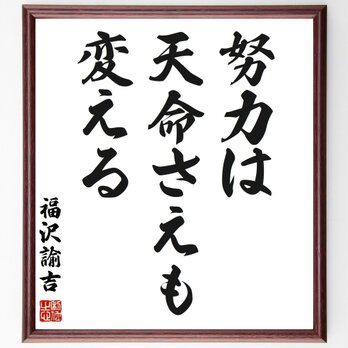 福沢諭吉の名言「努力は天命さえも変える」手書き書道色紙額／受注後の毛筆直筆（Z3516）の画像