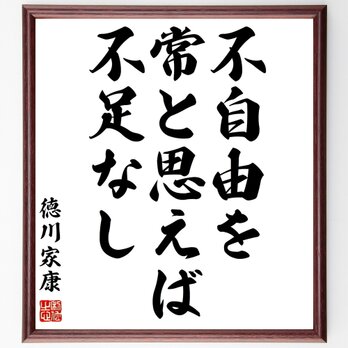 徳川家康の名言「不自由を常と思えば不足なし」額付き書道色紙／受注後直筆／Z2759の画像